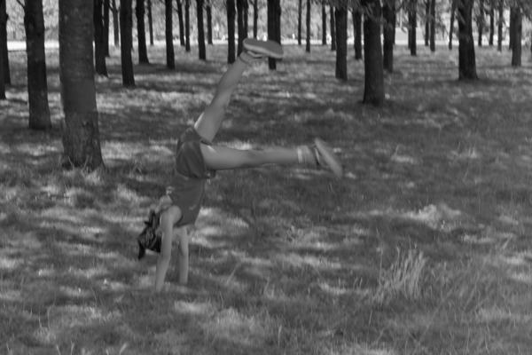 El mundo del reves. 2024